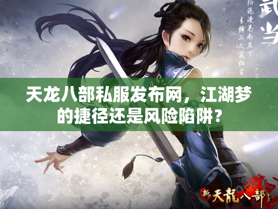 天龙八部私服发布网，江湖梦的捷径还是风险陷阱？