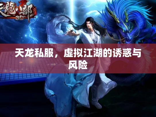 天龙私服，虚拟江湖的诱惑与风险