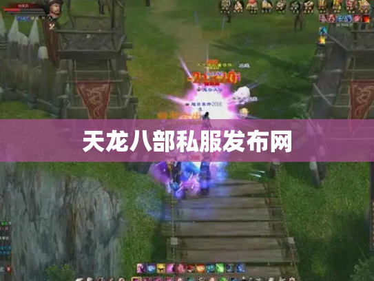 天龙八部私服发布网