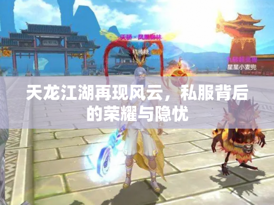 天龙江湖再现风云，私服背后的荣耀与隐忧
