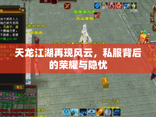 天龙江湖再现风云，私服背后的荣耀与隐忧