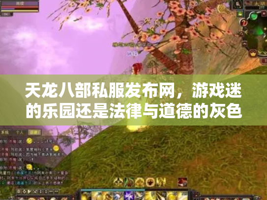 天龙八部私服发布网，游戏迷的乐园还是法律与道德的灰色地带？