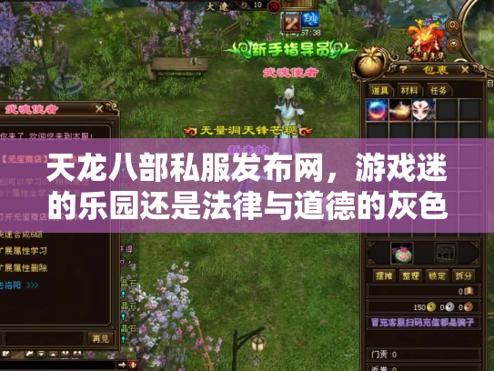 天龙八部私服发布网，游戏迷的乐园还是法律与道德的灰色地带？
