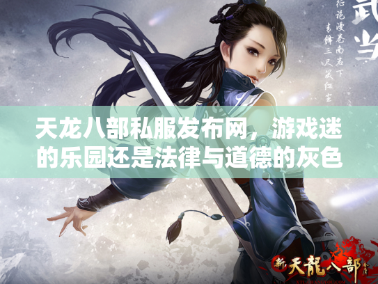 天龙八部私服发布网，游戏迷的乐园还是法律与道德的灰色地带？