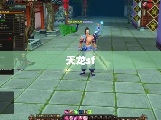 天龙sf