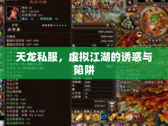 天龙私服，虚拟江湖的诱惑与陷阱