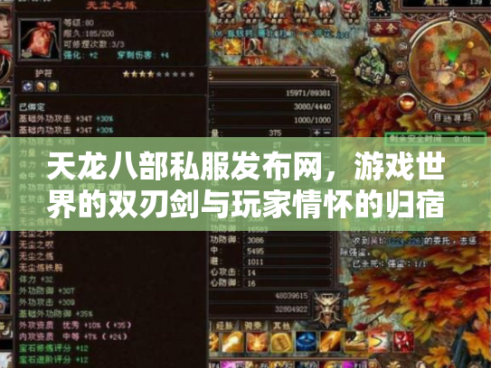 天龙八部私服发布网，游戏世界的双刃剑与玩家情怀的归宿