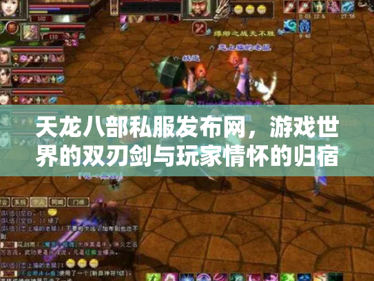 天龙八部私服发布网，游戏世界的双刃剑与玩家情怀的归宿