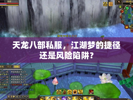 天龙八部私服，江湖梦的捷径还是风险陷阱？
