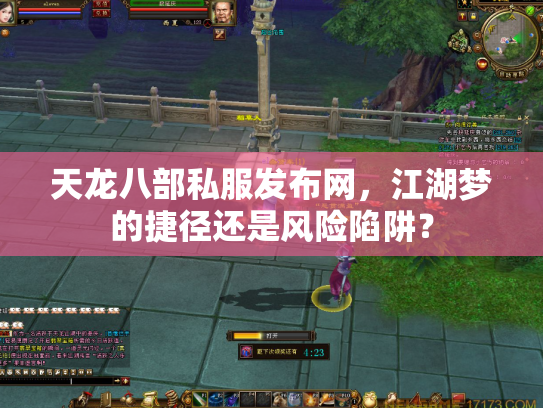 天龙八部私服发布网，江湖梦的捷径还是风险陷阱？