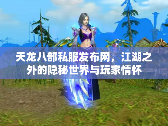 天龙八部私服发布网，江湖之外的隐秘世界与玩家情怀