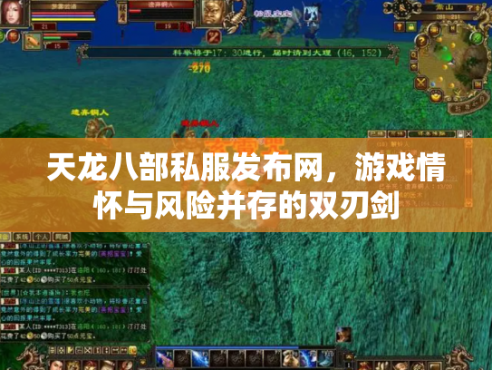 天龙八部私服发布网，游戏情怀与风险并存的双刃剑