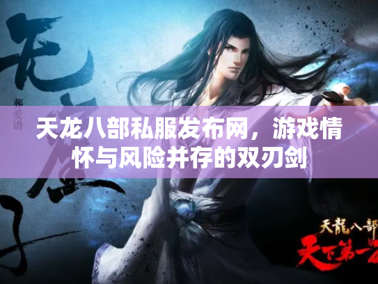 天龙八部私服发布网，游戏情怀与风险并存的双刃剑