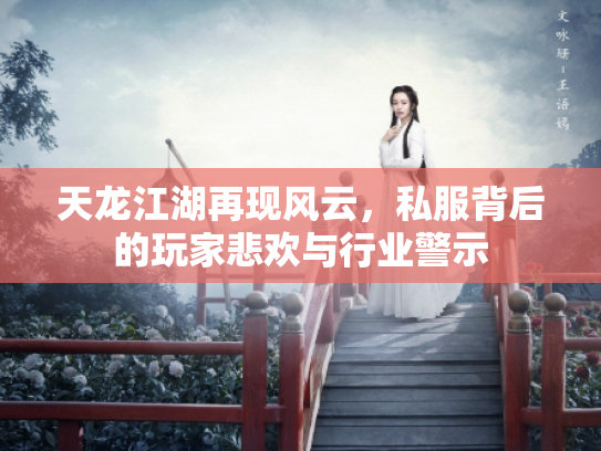 天龙江湖再现风云，私服背后的玩家悲欢与行业警示