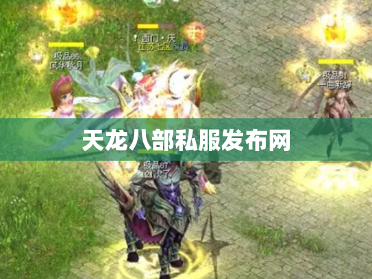 天龙八部私服发布网