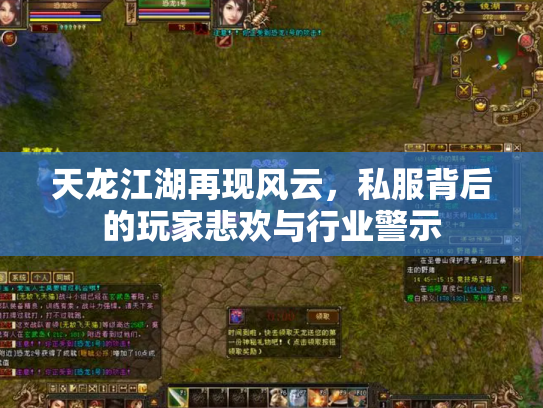 天龙江湖再现风云，私服背后的玩家悲欢与行业警示