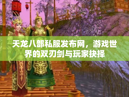 天龙八部私服发布网，游戏世界的双刃剑与玩家抉择