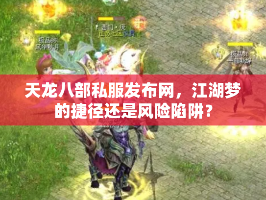 天龙八部私服发布网，江湖梦的捷径还是风险陷阱？