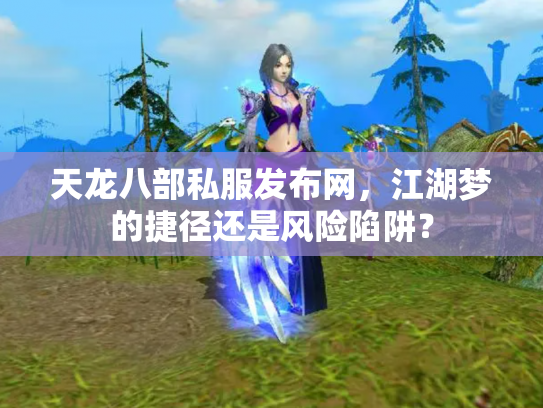天龙八部私服发布网，江湖梦的捷径还是风险陷阱？