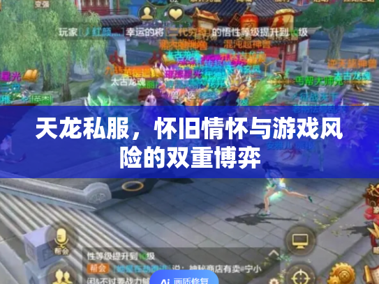 天龙私服，怀旧情怀与游戏风险的双重博弈