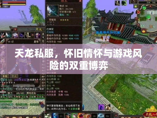 天龙私服，怀旧情怀与游戏风险的双重博弈