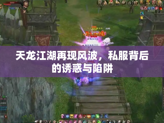 天龙江湖再现风波，私服背后的诱惑与陷阱