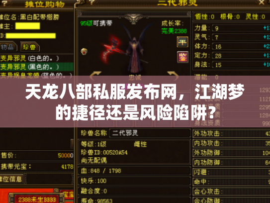 天龙八部私服发布网，江湖梦的捷径还是风险陷阱？