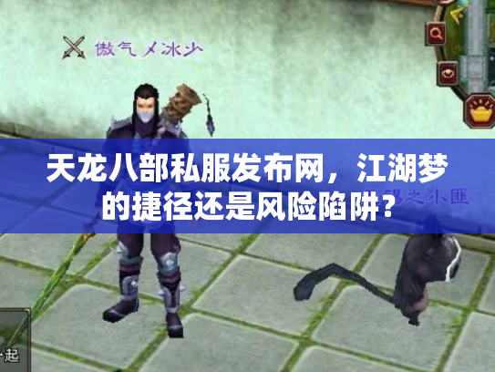 天龙八部私服发布网，江湖梦的捷径还是风险陷阱？
