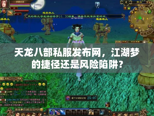 天龙八部私服发布网，江湖梦的捷径还是风险陷阱？