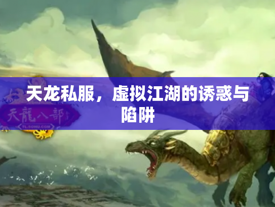 天龙私服，虚拟江湖的诱惑与陷阱