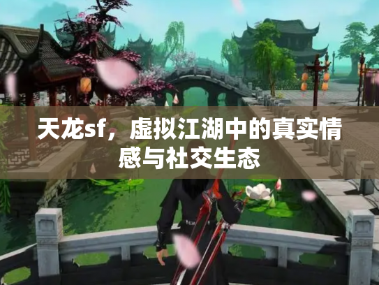 天龙sf，虚拟江湖中的真实情感与社交生态