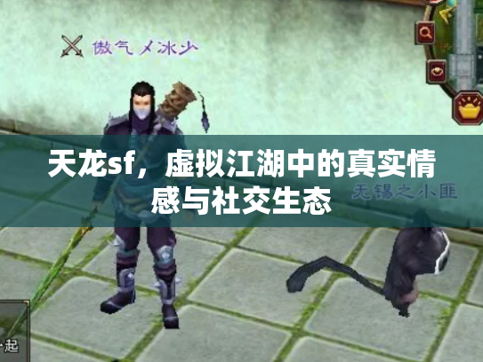 天龙sf，虚拟江湖中的真实情感与社交生态