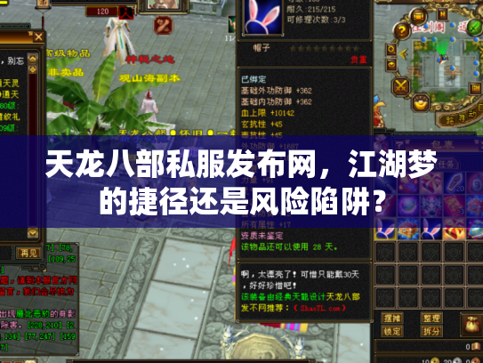 天龙八部私服发布网，江湖梦的捷径还是风险陷阱？