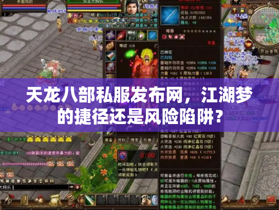 天龙八部私服发布网，江湖梦的捷径还是风险陷阱？