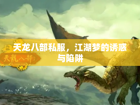 天龙八部私服，江湖梦的诱惑与陷阱