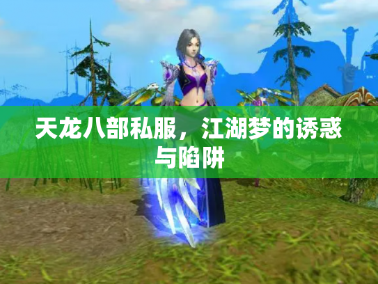 天龙八部私服，江湖梦的诱惑与陷阱