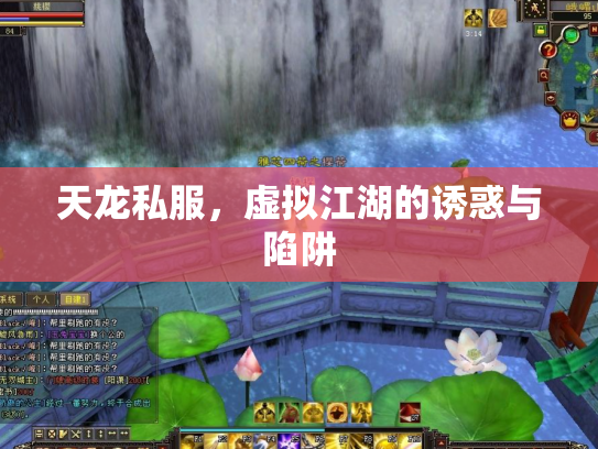 天龙私服，虚拟江湖的诱惑与陷阱