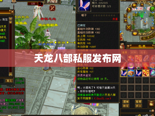 天龙八部私服发布网