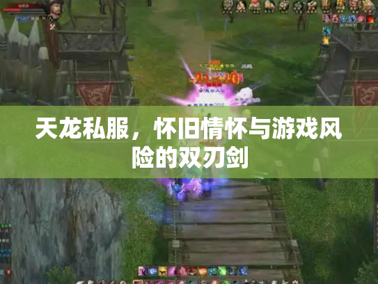 天龙私服，怀旧情怀与游戏风险的双刃剑