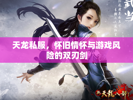 天龙私服，怀旧情怀与游戏风险的双刃剑
