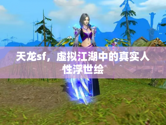天龙sf，虚拟江湖中的真实人性浮世绘