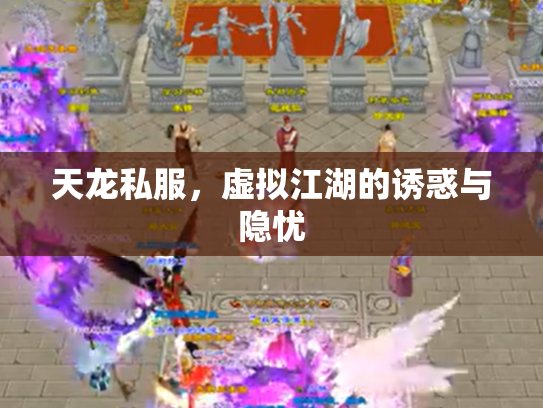 天龙私服，虚拟江湖的诱惑与隐忧