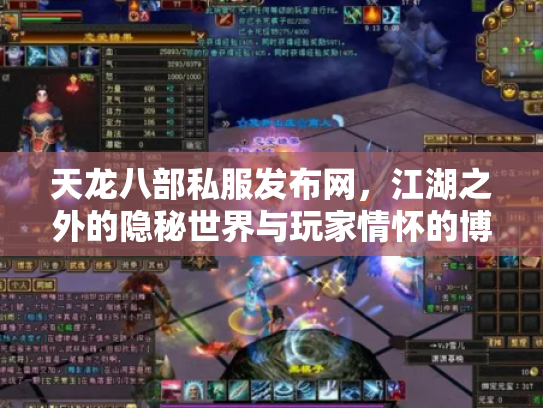 天龙八部私服发布网，江湖之外的隐秘世界与玩家情怀的博弈