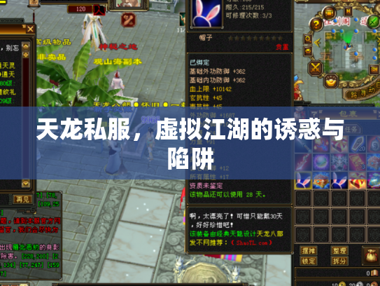 天龙私服，虚拟江湖的诱惑与陷阱