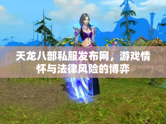 天龙八部私服发布网，游戏情怀与法律风险的博弈