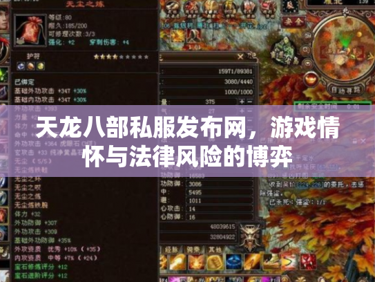 天龙八部私服发布网，游戏情怀与法律风险的博弈