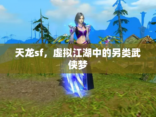 天龙sf，虚拟江湖中的另类武侠梦
