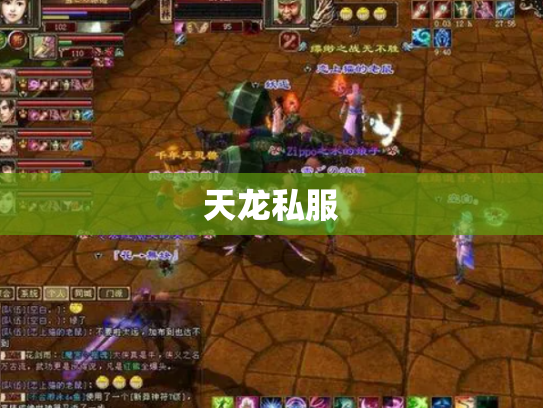 天龙私服
