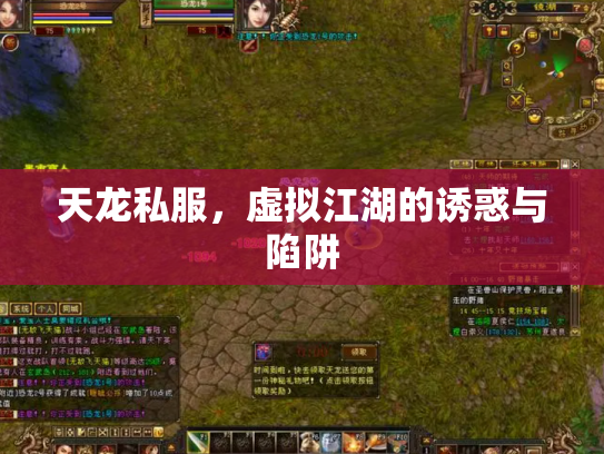 天龙私服，虚拟江湖的诱惑与陷阱