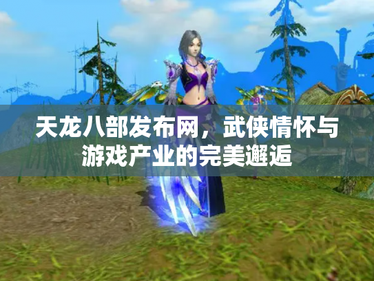 天龙八部发布网，武侠情怀与游戏产业的完美邂逅